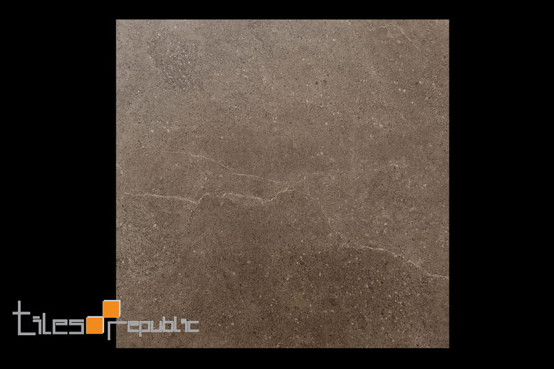 LAVA STONE BROWN 600X600 SMOOTH GRIP